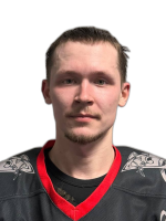 Небылицин Дмитрий Олегович