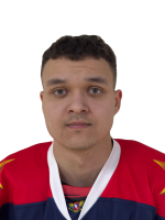 Уфимцев Лев Владимирович
