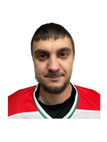 Алеев Григорий Александрович