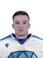 Гусаров Артём Игоревич