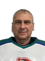 Гоголев Вячеслав Иванович