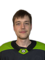 Шафарин Андрей Игоревич