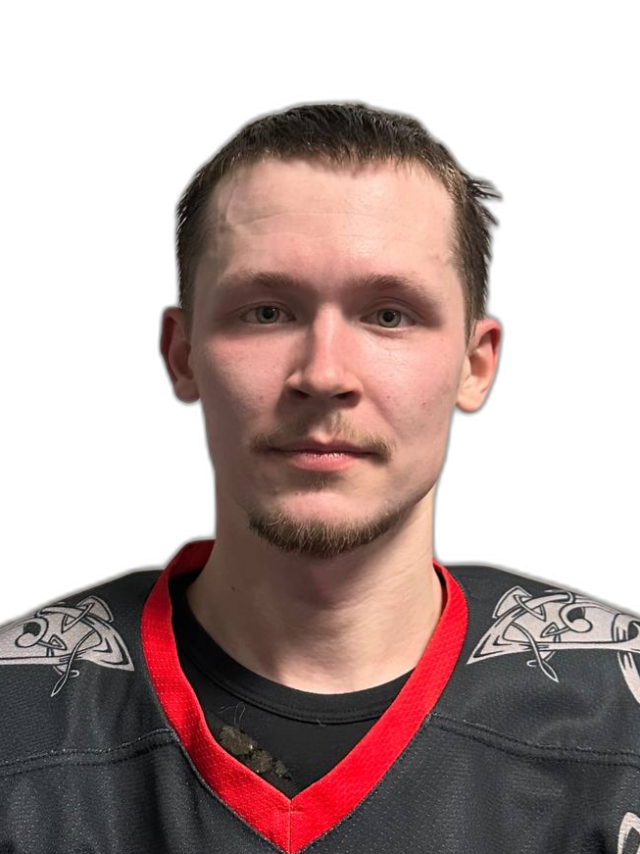 Небылицин Дмитрий Олегович