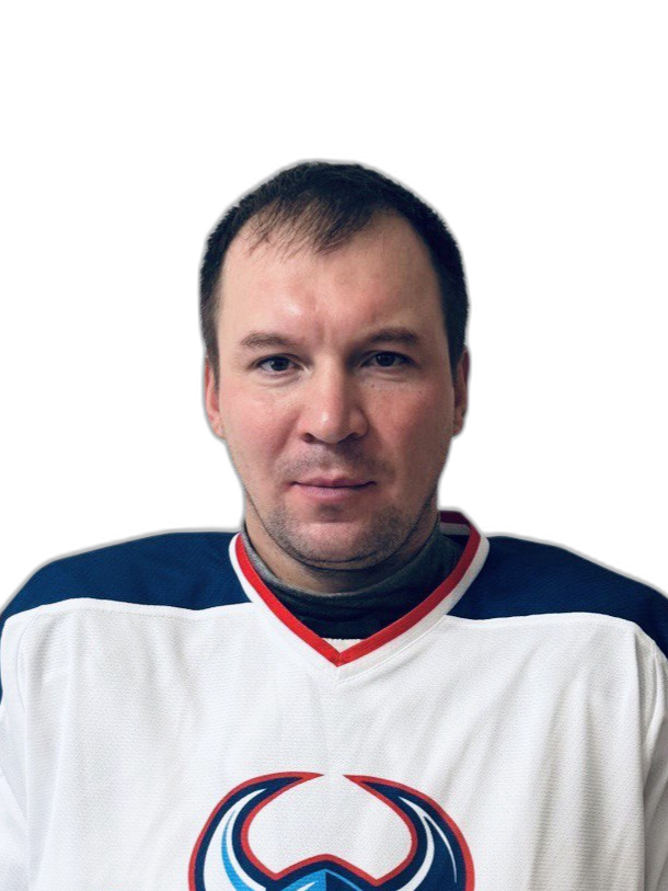 Моисеенко Николай Александрович