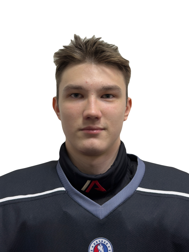 Агаев Илья Денисович