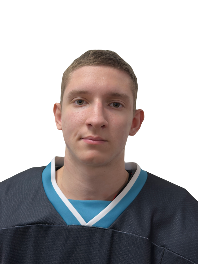 Блазнин Владимир Вячеславович