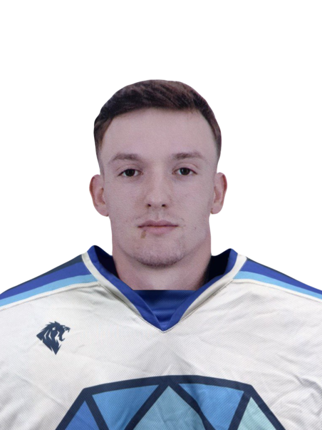 Гусаров Артём Игоревич