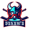 Викинги