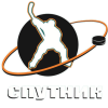 Спутник